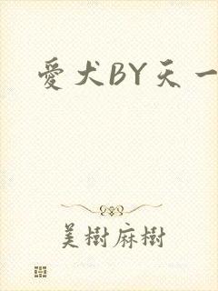 爱犬BY天一