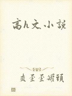 高h文小说