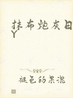 抹布炮灰日记BY