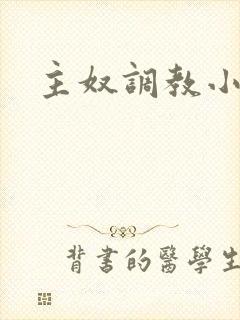 主奴调教小说封面