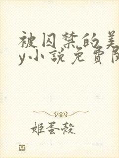 被囚禁的美人by小说免费阅读封面