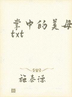 掌中的美母版主txt