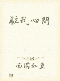 驻我心间