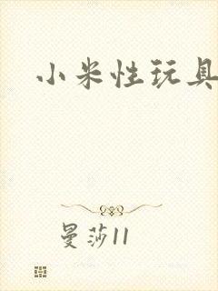 小米性玩具日记