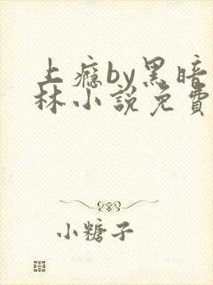上瘾by黑暗森林小说免费