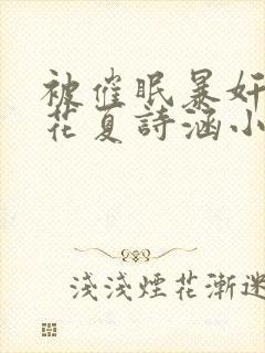 被催眠暴奸的校花夏诗涵小说封面
