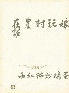 在农村玩娘俩小说