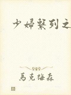 少妇系列之白洁封面