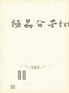 极品公子txt