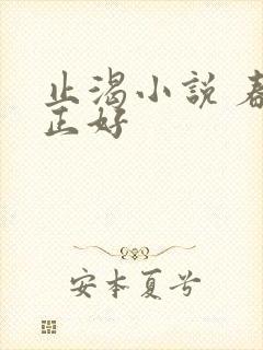 止渴小说 春光正好