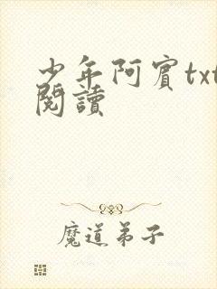 少年阿宾txt阅读