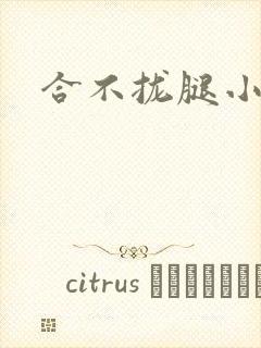 合不拢腿小说