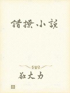 错撩小说