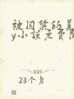 被囚禁的美人by小说免费阅读