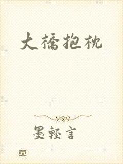 大桥抱枕