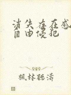 消失存在感消失自由侵犯