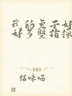 我的兔子好软水好多双指探洞小说封面