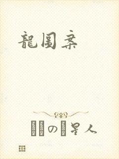 龙图案