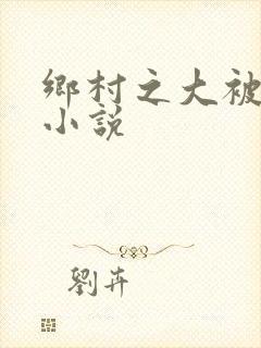 乡村之大被同眠小说封面