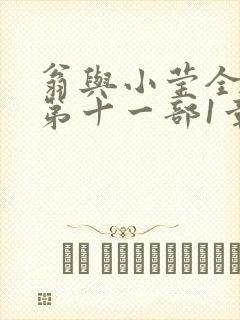 翁与小莹全目录第十一部1章封面