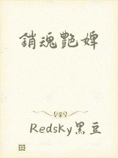 销魂艳婢封面