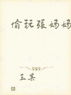 偷玩张妈妈