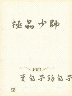 极品少帅
