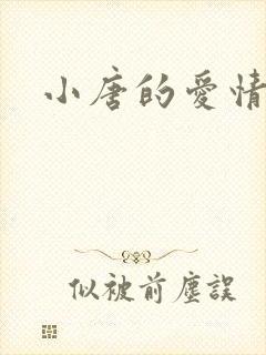 小唐的爱情史