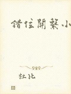 错位关系小说
