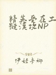 精英受在工地被糙汉攻NP封面