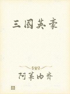 三国英豪封面