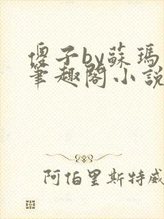 傻子by苏玛丽笔趣阁小说