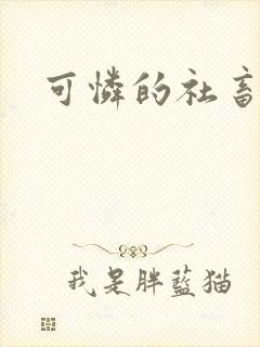 可怜的社畜小说