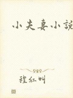 小夫妻小说封面