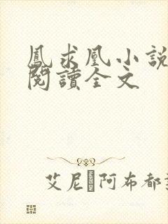 凤求凰小说免费阅读全文