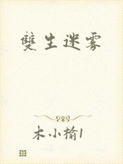 双生迷雾