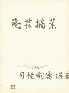 飞花摘叶封面