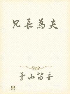 兄长为夫封面