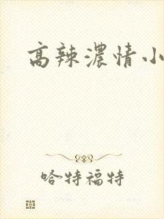 高辣浓情小说