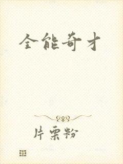 全能奇才封面