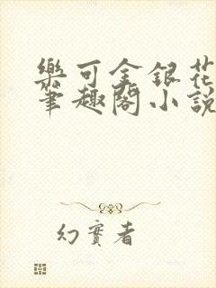 乐可金银花免费笔趣阁小说