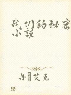 我们的秘密泰剧小说
