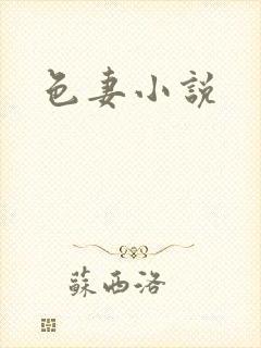 色妻小说封面