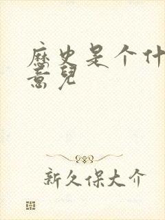 历史是个什么玩意儿封面