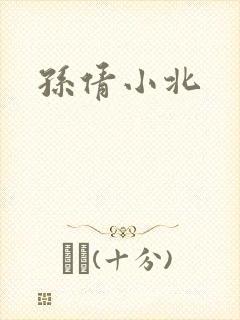 孙倩小北封面