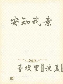 安知我意