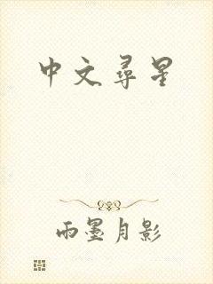 中文寻星