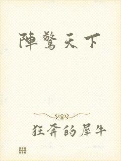 阵惊天下