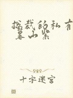 总裁的私有宝贝 暮山紫