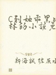 C到她乖黑暗森林的小说免费
